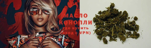 гашик Михайловск