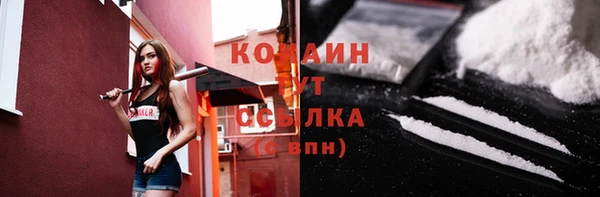 стаф Алзамай